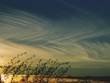 Altostratus duplicatus