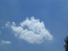 Cumulus fractus