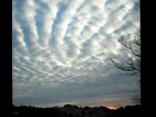 Stratocumulus undulatus