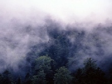 Stratus fractus