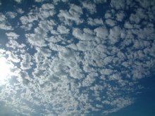 Altocumulus