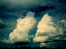 Cumulus congestus