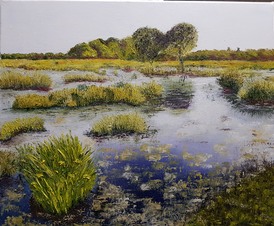Les marais de la Grande Brière Mottière