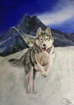 Chien dans la neige