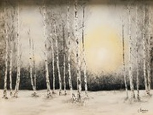 bouleaux sous la neige