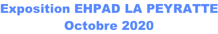 Exposition EHPAD LA PEYRATTE Octobre 2020