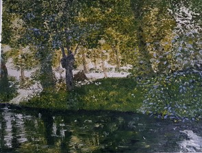 Le Marais poitevin ensoleillé