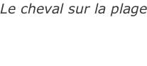 Le cheval sur la plage