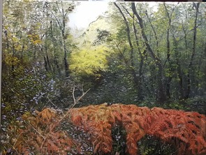 Forêt de Longeville